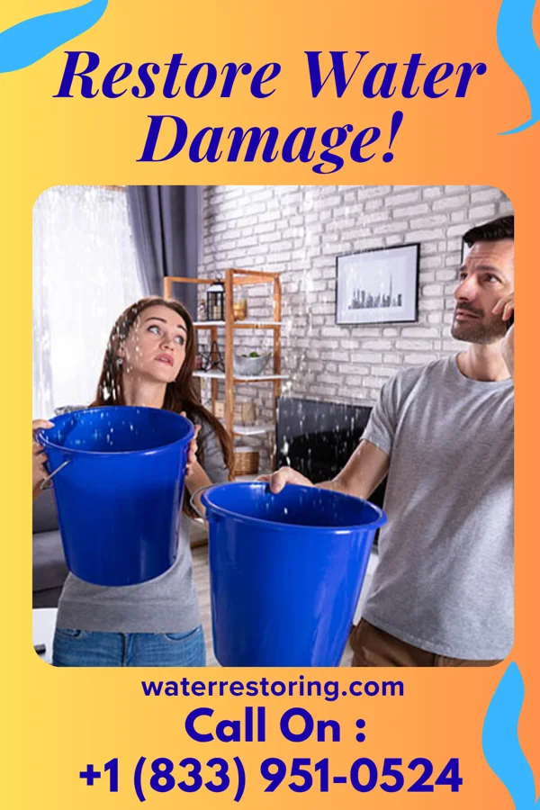 water restoration Allied Recovery Network Beverly Hills
