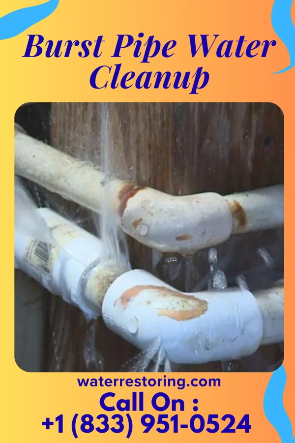 Burst Pipe Water Cleanup in Beverly Hills, MO