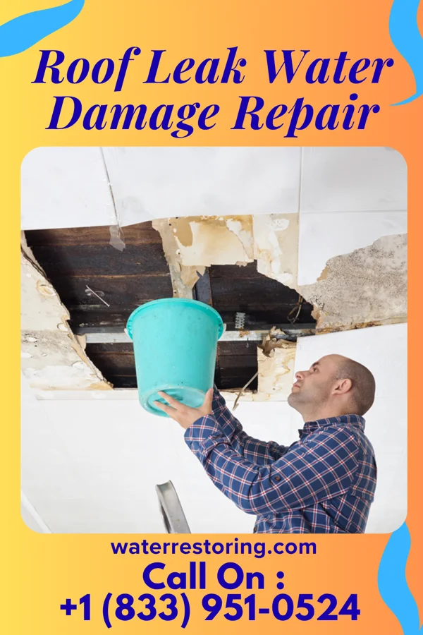 Roof Leak Water Damage Repair in Beverly Hills, MO
