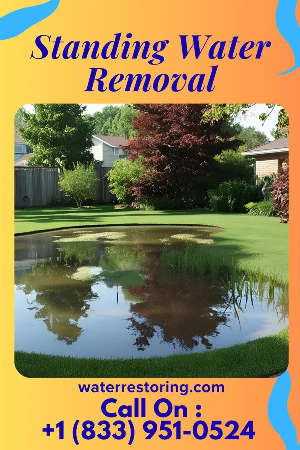 Standing Water Removal in Beverly Hills, MO